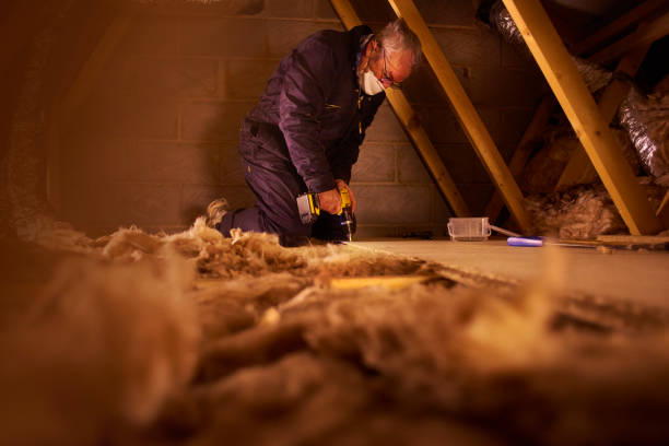 Best Insulation Installation Services in Hidalgo, TX